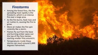 Firestorms
• Among the forest fires, the fire
spreading most rapidly is the
firestorm, which is an intense
fire over a large area.
• As the fire burns, heat rises and
air rushes in, causing the fire to
grow.
• More air makes the fire spin
violently like a storm.
• Flames fly out from the base
and burning ember spew out
the top of the fiery twister,
starting smaller fires around it.
• Temperatures inside these
storms can reach around 2,000
degrees Fahrenheit.
 