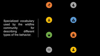 A fire is said to be
running when it is
spreading rapidly
It is creeping when it is
spreading slowly with
low flames
A fire is smoldering
when it burns without a
flame and is barely
spreading.
A fire is said to be
spotting when it is
producing sparks or
embers that are carried
by the wind or by the
combustion column
caused by the fire and
start new fires beyond
the main fire
A fire is torching when
it moves from one
crown to another fire
into the crowns of
individual trees, but not
necessary from one
crown to another.
It is crowning when it
spreads from tree to
tree usually in
conjunction with, but
sometimes completely
independent of the
surface fire.
A flare-up is a sudden
acceleration of fire
spread or intensity, of
relatively short duration
for a portion of the fire.
A blowup, on the other
hand is a dramatic
change in the behavior
of the whole fire, the
point of rapid transition
to a severe fire.
Specialized vocabulary
used by the wildfire
community for
describing different
types of fire behavior.
 