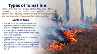 Surface fires
• Surface fire is the most common forest
fires that burn under growth and dead
material along the floor of the forest.
• It is the type of fire that burns surface
litter, other loose debris of the forest floor
and small vegetation.
• In general, it is very useful for the forest
growth and regeneration.
• But if grown in size, this fire not only burns
ground flora but also results to engulf the
undergrowth and the middle storey of the
forest.
Types of forest fire
Forest fires are not always same; they may differ,
depending upon its nature, size, spreading speed,
behavior etc. Basically, forest fires can be sub grouped
into four types depending upon their nature and size.
 