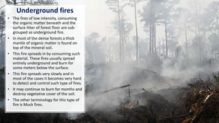 Underground fires
• The fires of low intensity, consuming
the organic matter beneath and the
surface litter of forest floor are sub-
grouped as underground fire.
• In most of the dense forests a thick
mantle of organic matter is found on
top of the mineral soil.
• This fire spreads in by consuming such
material. These fires usually spread
entirely underground and burn for
some meters below the surface.
• This fire spreads very slowly and in
most of the cases it becomes very hard
to detect and control such type of fires.
• It may continue to burn for months and
destroy vegetative cover of the soil.
• The other terminology for this type of
fire is Muck fires.
 