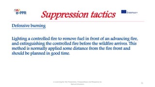 Professionals - Wildfires - Response part 2 | PPTX
