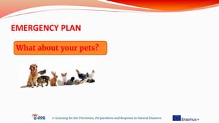 EMERGENCY PLAN
e-Learning for the Prevention, Preparedness and Response to Natural Disasters
What about your pets?
 