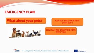 EMERGENCY PLAN
e-Learning for the Prevention, Preparedness and Response to Natural Disasters
What about your pets? CAN YOU TAKE YOUR PETS
WITH YOU ?
HOW CAN YOU TAKE YOUR PETS
WITH YOU?
 