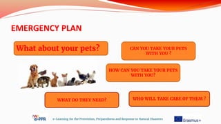EMERGENCY PLAN
e-Learning for the Prevention, Preparedness and Response to Natural Disasters
What about your pets? CAN YOU TAKE YOUR PETS
WITH YOU ?
HOW CAN YOU TAKE YOUR PETS
WITH YOU?
WHAT DO THEY NEED? WHO WILL TAKE CARE OF THEM ?
 