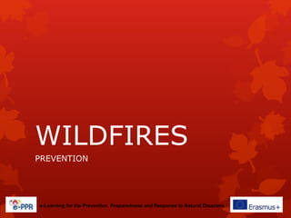 WILDFIRES
PREVENTION
e-Learning for the Prevention, Preparedness and Response to Natural Disasters
 