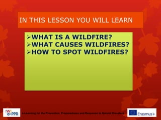 Wildfire Lesson Primary - Wildfires - Prevention | PPTX