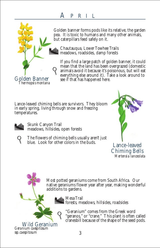 Gardening with Native Plants Boulder, Colorado