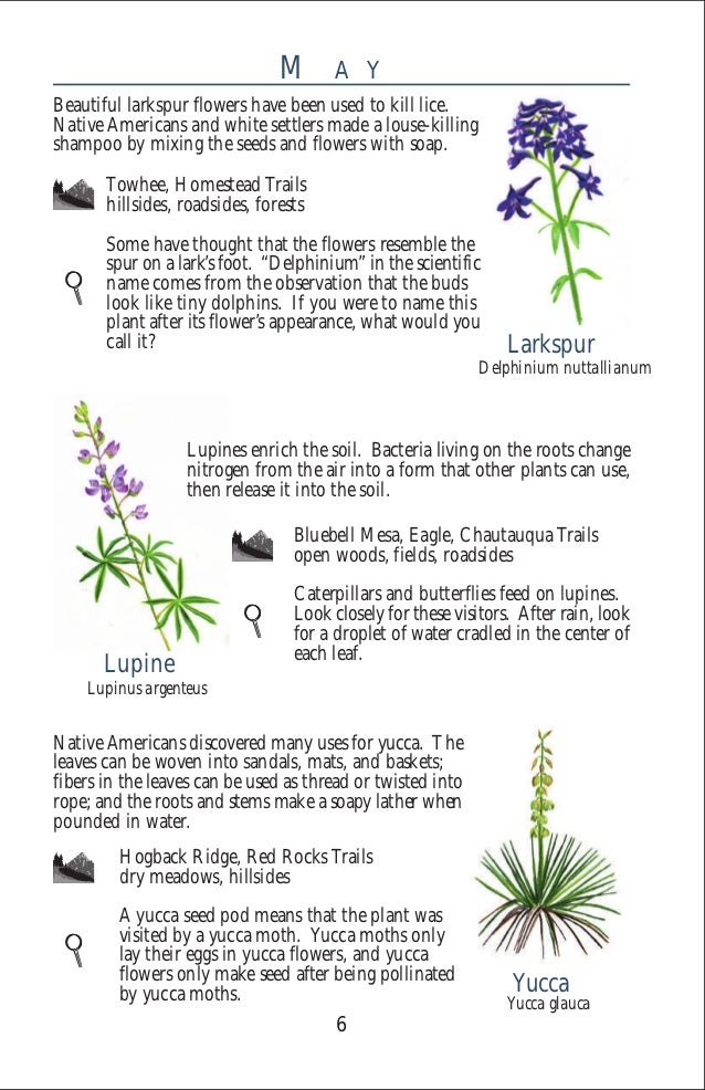 Gardening with Native Plants Boulder, Colorado