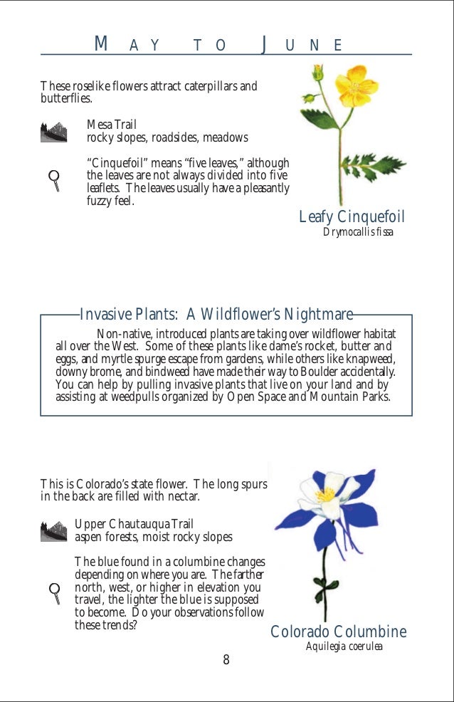 Gardening with Native Plants Boulder, Colorado