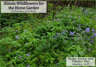 Illinois Wildflowers for
the Home Garden
by Christopher David Benda
Home, Lawn, and
Garden Day
March 4, 2017
 