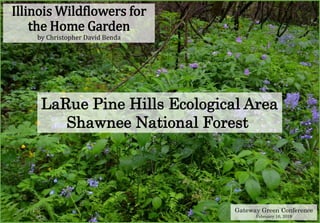 Illinois Wildflowers for
the Home Garden
by Christopher David Benda
Gateway Green Conference
February 16, 2019
LaRue Pine Hills Ecological Area
Shawnee National Forest
 