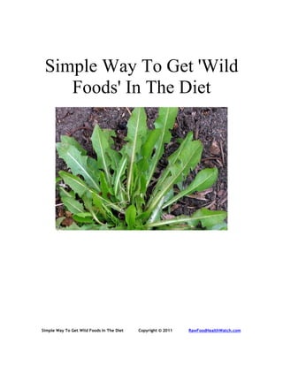 Simple Way To Get 'Wild
    Foods' In The Diet




Simple Way To Get Wild Foods In The Diet   Copyright © 2011   RawFoodHealthWatch.com
 