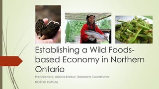 Establishing a Wild Foodsbased Economy in Northern
Ontario
Prepared by: Jessica Bolduc, Research Coordinator
NORDIK Institute

 