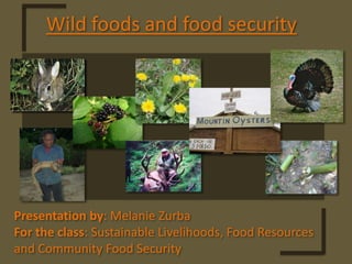Wild foods and food security Presentation by: Melanie Zurba For the class: Sustainable Livelihoods, Food Resources  and Community Food Security  
