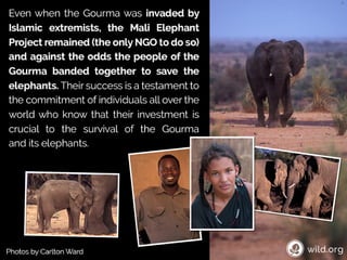 4 Stories about individuals conserving wilderness