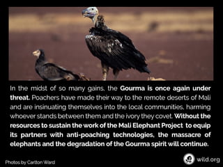 4 Stories about individuals conserving wilderness