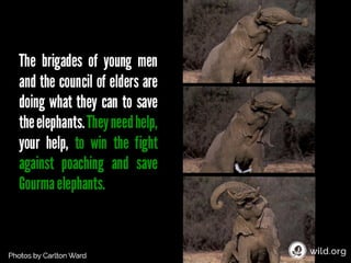 4 Stories about individuals conserving wilderness