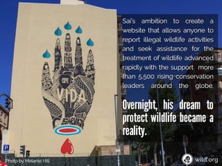 4 Stories about individuals conserving wilderness