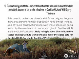 4 Stories about individuals conserving wilderness