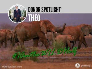 4 Stories about individuals conserving wilderness