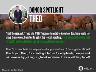 4 Stories about individuals conserving wilderness