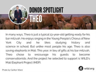 4 Stories about individuals conserving wilderness