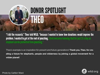 4 Stories about individuals conserving wilderness