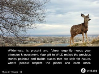 4 Stories about individuals conserving wilderness