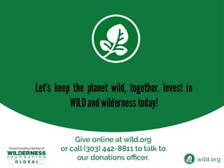 4 Stories about individuals conserving wilderness