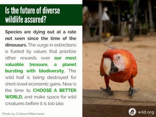 4 Stories about individuals conserving wilderness