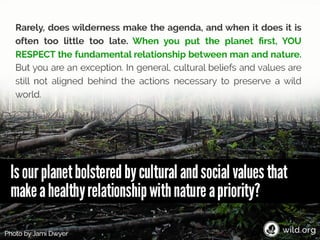 4 Stories about individuals conserving wilderness