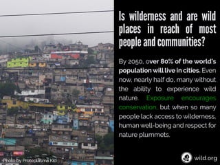 4 Stories about individuals conserving wilderness