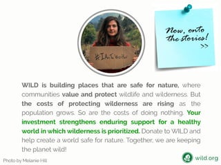 4 Stories about individuals conserving wilderness