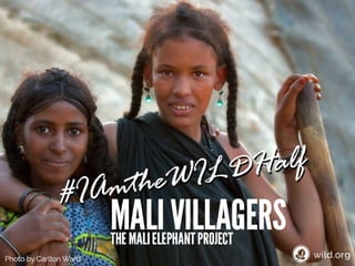 4 Stories about individuals conserving wilderness