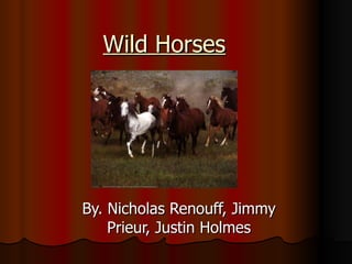 Wild Horses By. Nicholas Renouff, Jimmy Prieur, Justin Holmes 
