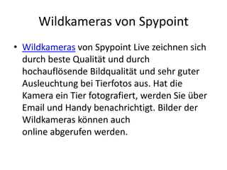 Wildkameras von Spypoint
• Wildkameras von Spypoint Live zeichnen sich
  durch beste Qualität und durch
  hochauflösende Bildqualität und sehr guter
  Ausleuchtung bei Tierfotos aus. Hat die
  Kamera ein Tier fotografiert, werden Sie über
  Email und Handy benachrichtigt. Bilder der
  Wildkameras können auch
  online abgerufen werden.
 