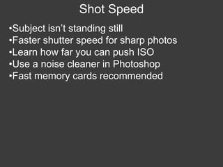 Wildlife Photography