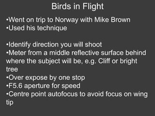 Wildlife Photography