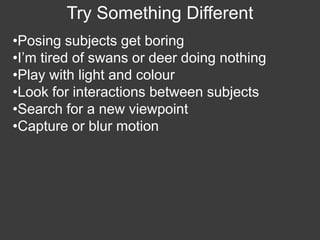 Wildlife Photography