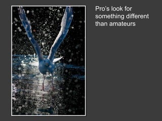 Wildlife Photography