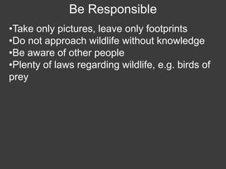 Wildlife Photography