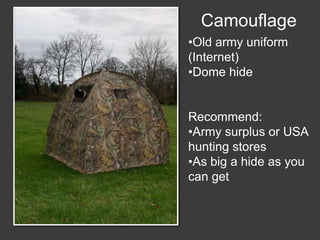 Wildlife Photography