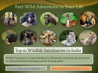 Feel Wild Adventure in Your Life




        Top 10 Wildlife Sanctuaries in India
Wildlife Sanctuary is a natural shelter for wild species, which provide protection
to wild animals from hunting ground & hunting spider.


For more information visit here - >         http://www.india-wildlifetours.com
 
