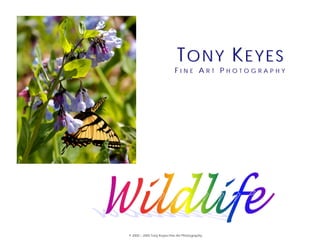 TONY KEYES
                            FINE ART PHOTOGRAPHY




© 2000 – 2005 Tony Keyes Fine Art Photography
 
