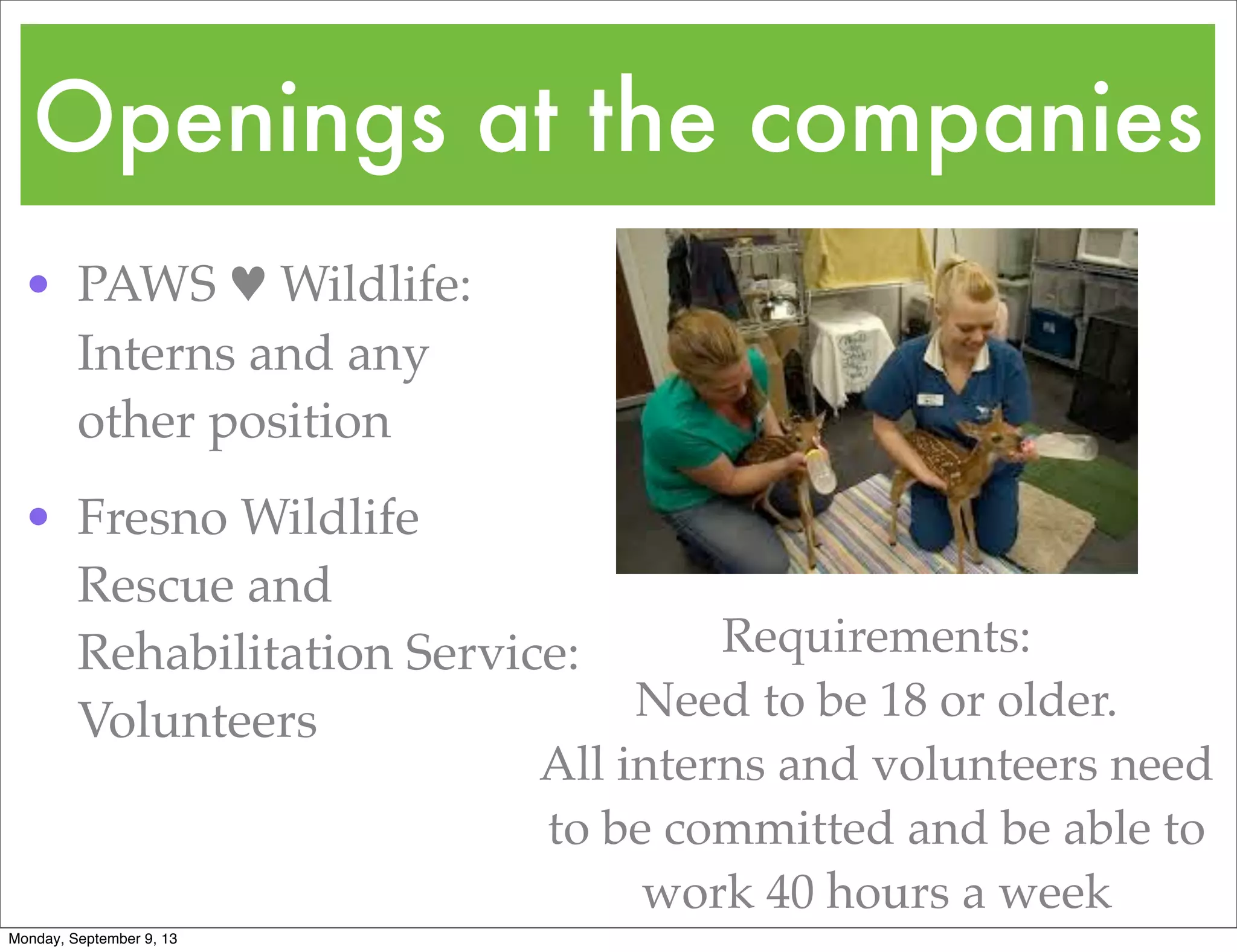 Wildlife Rehabilitator PPT