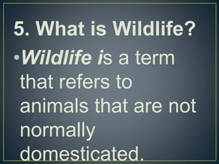 5. What is Wildlife? 
•Wildlife is a term 
that refers to 
animals that are not 
normally 
domesticated. 
 