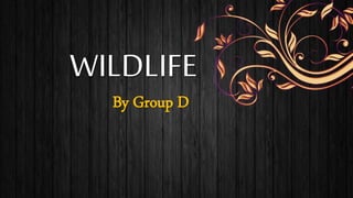 WILDLIFE
By Group D
 