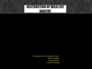 Presentation by: DeAngelo Young
Melissa Baden
Jacquita Hunt
Andrew Mitchell
DESTRUCTION OF WILD LIFE
HABITAT
 