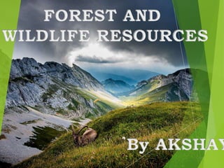FOREST AND
WILDLIFE RESOURCES
By AKSHAY
 
