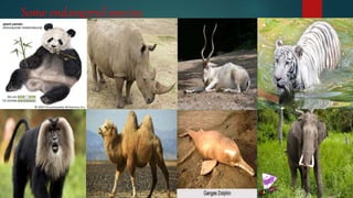 Some endangered species:
 